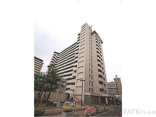 パルハセトン十三