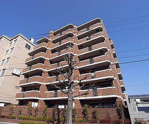 京都府京都市北区紫野宮西町 7階建 築24年4ヶ月