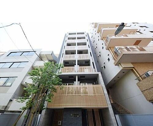 ＣＹＰＲＥＳＳ　ＯＮＡＲＩＭＯＮ