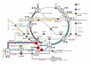 （仮称）品川大井町レジデンス 間取図