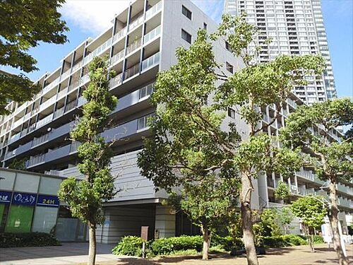 東京都江東区豊洲３丁目 14階建 築17年10ヶ月