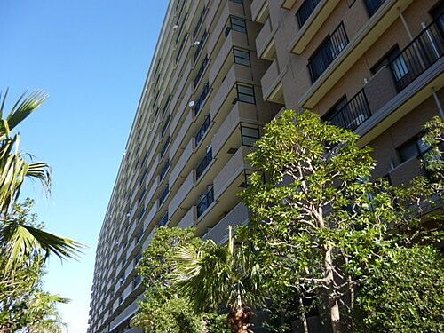 東京都江東区潮見２丁目 賃貸マンション