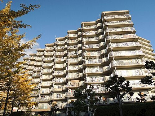 ファミリープラザ朝潮橋　Ｂ棟