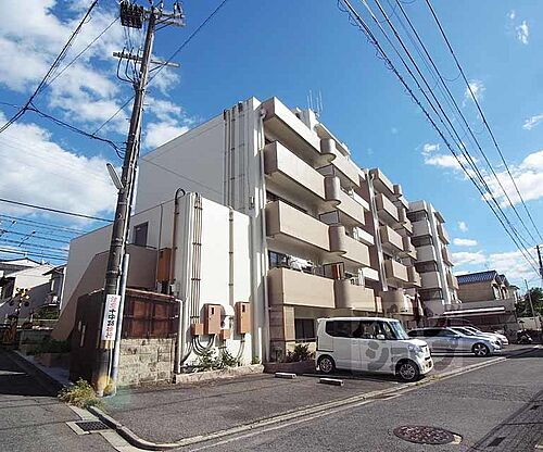 京都府京都市伏見区深草秡川町 5階建 築37年