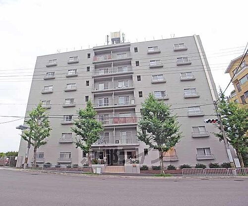 京都府京都市右京区嵯峨天龍寺中島町 7階建 築52年4ヶ月