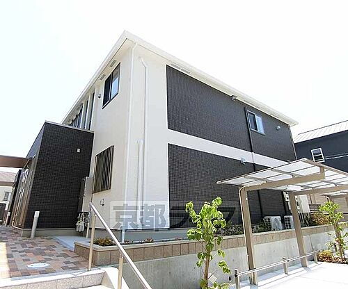 ディモーラ山崎