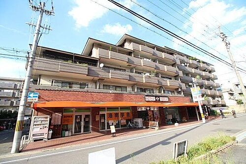 京都府京都市南区唐橋琵琶町 築42年11ヶ月 6階建