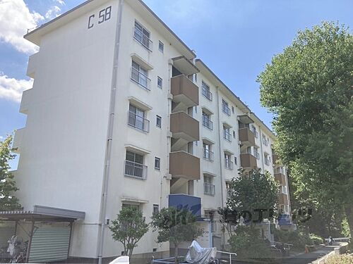 大阪府寝屋川市明徳１丁目 築52年11ヶ月 5階建