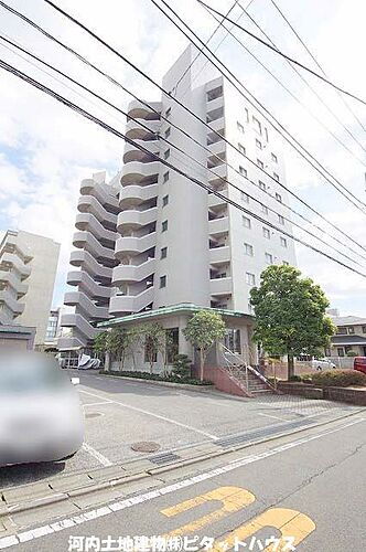 ＬＩＢＡＲＴＹ　ＯＡＫ