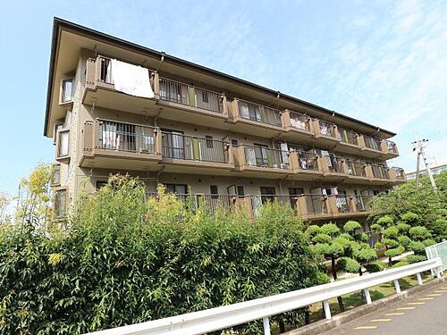 奈良県奈良市鶴舞西町 4階建 築40年9ヶ月