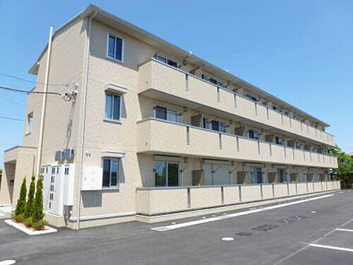 オルタシア　カツラ