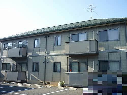 ディアス花みずき