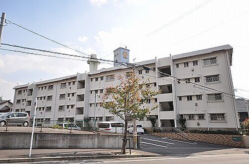 御告川ハイツ 4階建