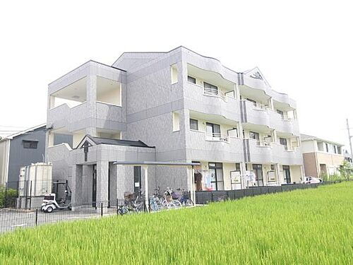 大阪府泉大津市寿町 賃貸マンション