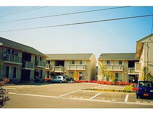 メゾンアムール