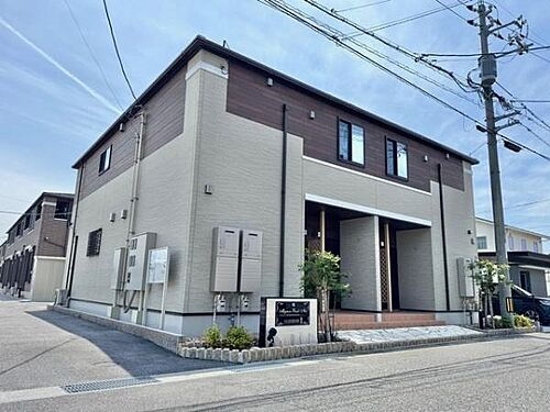 ミニョン　ルーク・ネオ　１