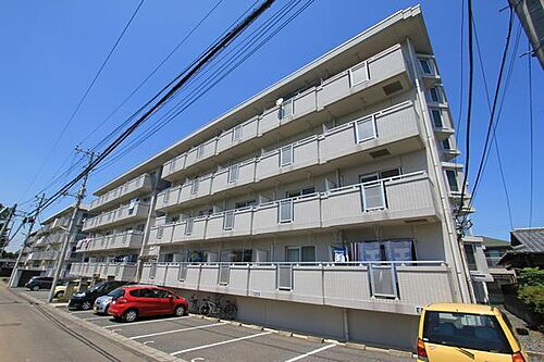 茨城県水戸市千波町 賃貸マンション