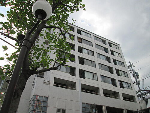 パルティーマルトヨ