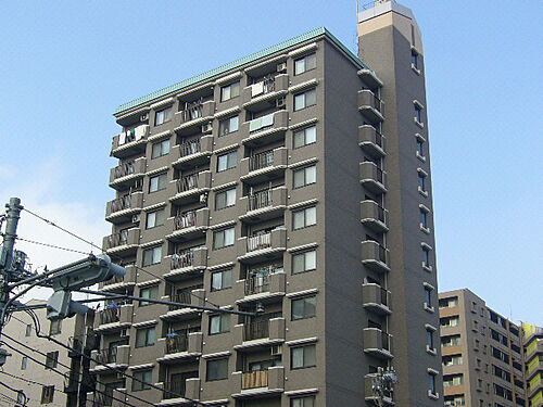 東京都葛飾区亀有５丁目 12階建 築28年10ヶ月