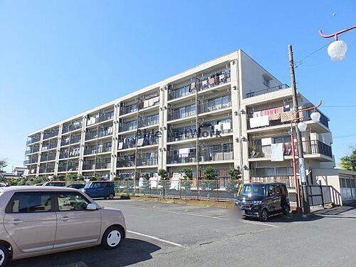 茨城県古河市本町４丁目 5階建