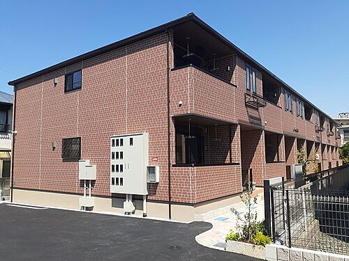 キング　パンプキン