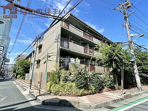 大阪府大阪市阿倍野区松崎町３丁目 4階建