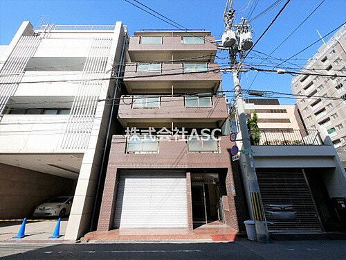 ハイツキンリュウ