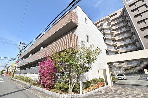 大阪府堺市西区浜寺石津町中２丁 築14年4ヶ月 3階建