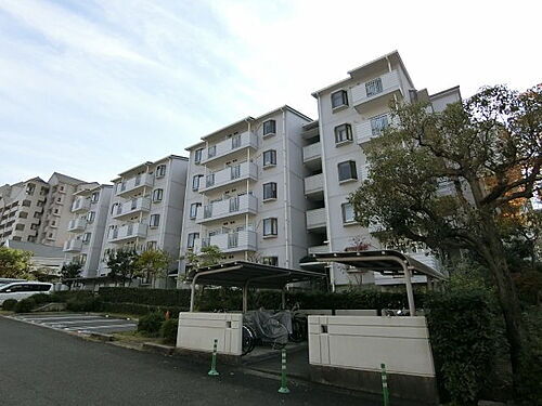 大阪府和泉市いぶき野３丁目 賃貸マンション