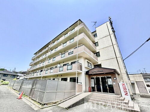 大阪府柏原市国分市場２丁目 賃貸マンション