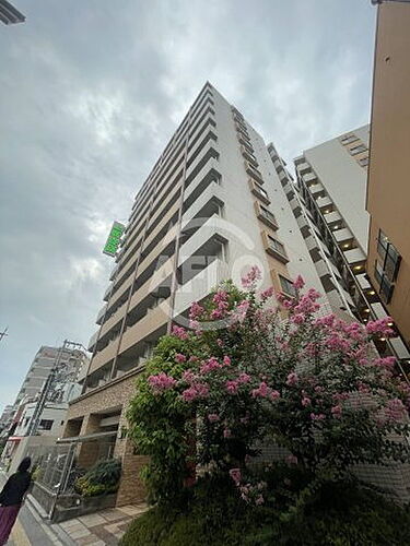 エクセレント上新１５