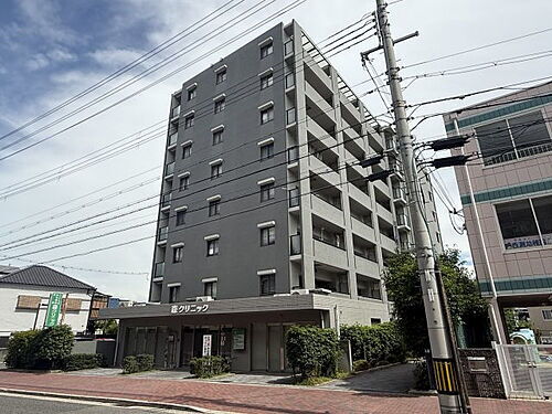 兵庫県神戸市灘区岩屋北町３丁目 賃貸マンション