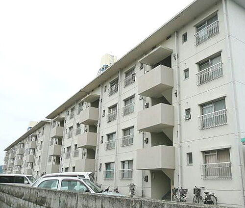 和歌山県和歌山市松島 賃貸マンション