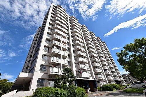 大阪府堺市南区桃山台２丁 14階建 築52年7ヶ月