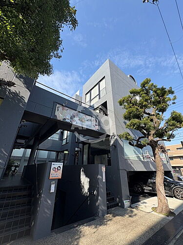 大阪府大阪市住吉区帝塚山中１丁目 賃貸マンション