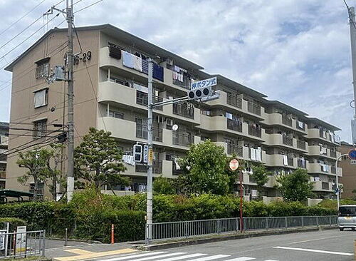 大阪府堺市南区新檜尾台４丁 5階建 築44年10ヶ月