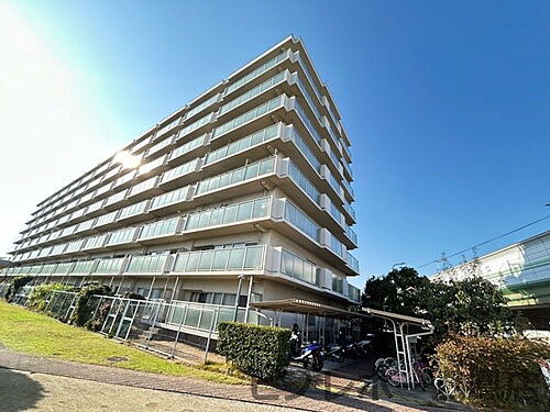 大阪府泉大津市助松町１丁目 8階建 築40年11ヶ月