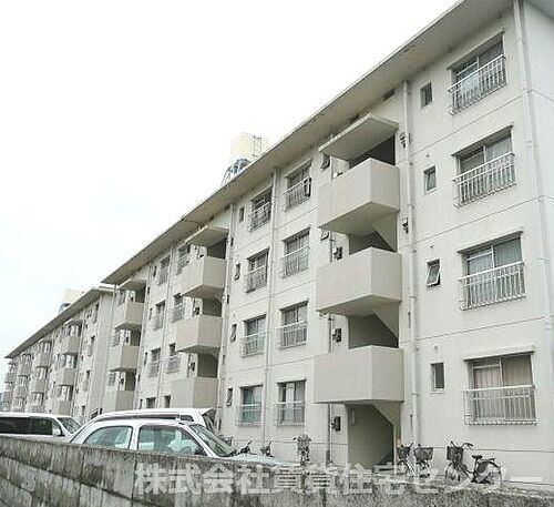 和歌山県和歌山市松島 賃貸マンション