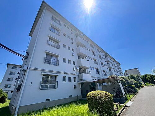 大阪府堺市北区東浅香山町３丁 築57年1ヶ月 5階建