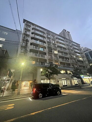 大阪府大阪市西区南堀江１丁目 11階建 築47年2ヶ月