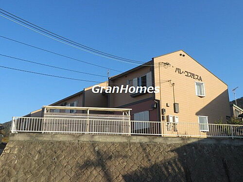 パレコスモス　Ａ