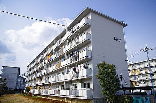 大阪府堺市南区晴美台３丁 賃貸マンション