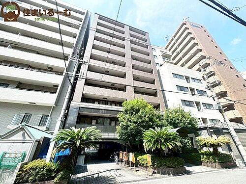 大阪府大阪市中央区本町橋 11階建 築24年5ヶ月