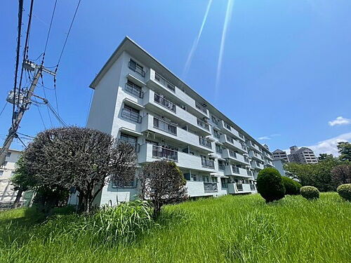 大阪府堺市北区東浅香山町３丁 5階建 築56年6ヶ月