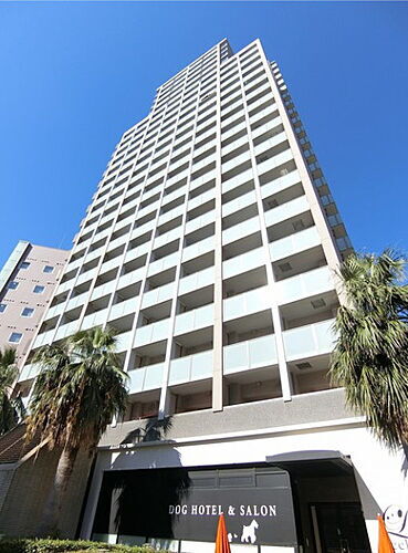 大阪府大阪市浪速区日本橋３丁目 賃貸マンション