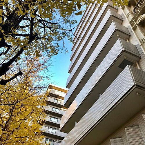 東京都八王子市千人町１丁目 賃貸マンション