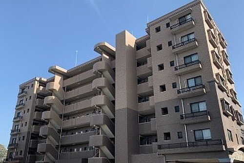 ボリ・モゼＩＩ