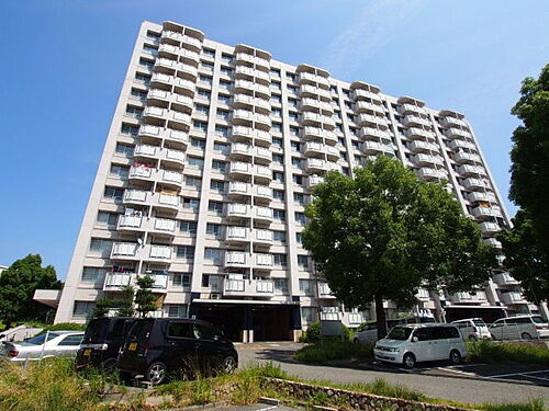 大阪府堺市南区桃山台２丁 賃貸マンション