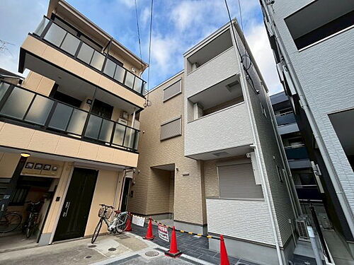 花の木　北青木