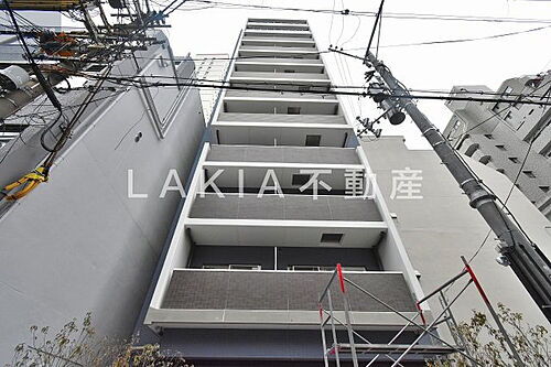 ＧＲＡＣＥ　ＮＯＲＴＨ　ＮＩＳＨＩＴＥＭＭＡ